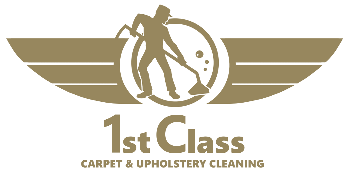How Does Steam Cleaning Upholstery Work?